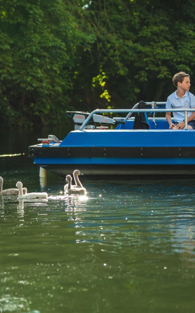 Balade En Barque Eaudyssee Cygnes Famille © Teddy Picaude