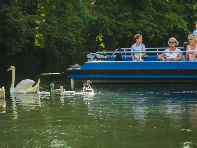 Balade En Barque Eaudyssee Cygnes Famille © Teddy Picaude