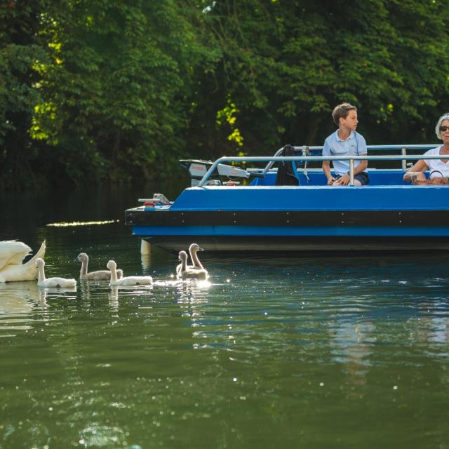 Balade En Barque Eaudyssee Cygnes Famille © Teddy Picaude