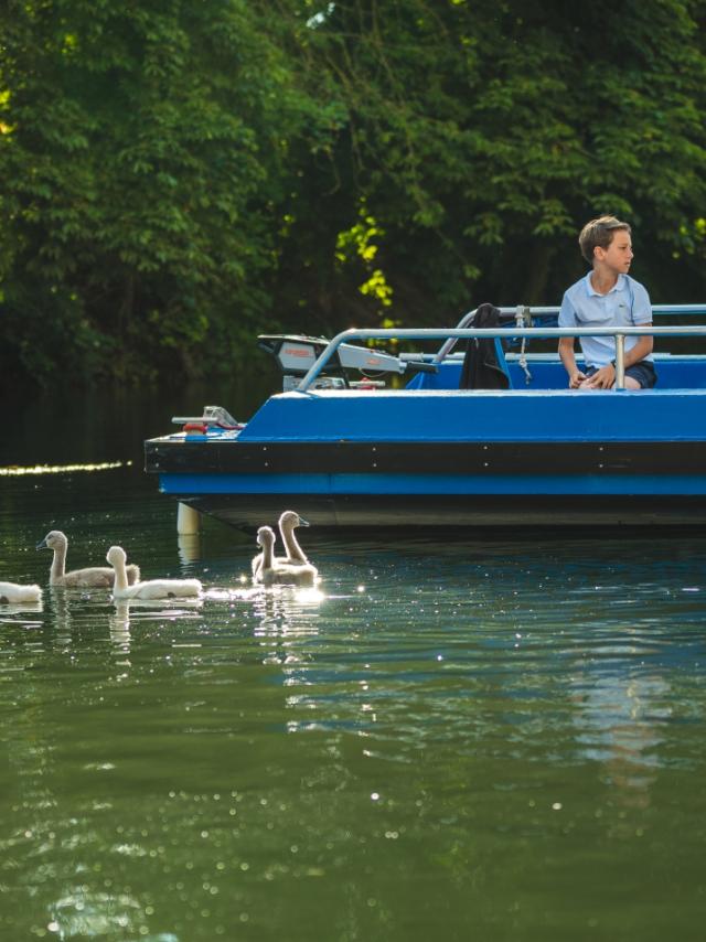 Balade En Barque Eaudyssee Cygnes Famille © Teddy Picaude