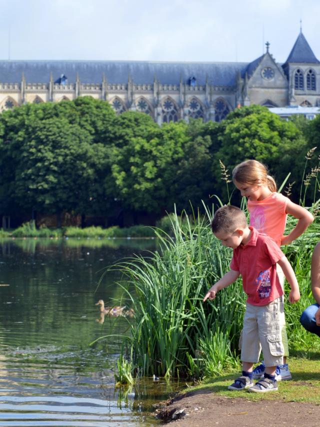 Balade En Famille Chalons Canards Canal Lateral © Christophe Manquillet