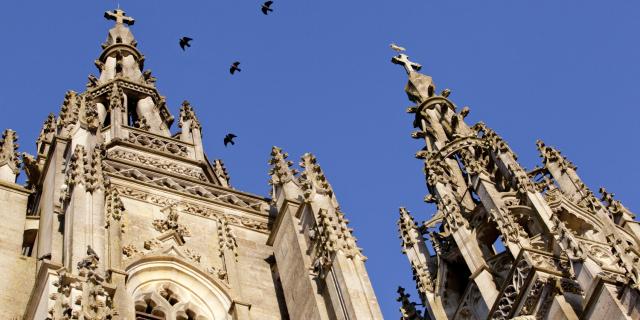 Basilique L Epine Unesco Tours Oiseaux © Jean Côme Nicolle