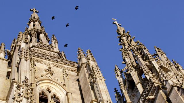 Basilique L Epine Unesco Tours Oiseaux © Jean Côme Nicolle