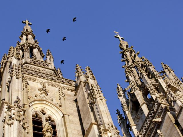 Basilique L Epine Unesco Tours Oiseaux © Jean Côme Nicolle