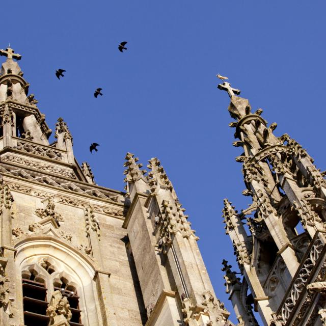 Basilique L Epine Unesco Tours Oiseaux © Jean Côme Nicolle