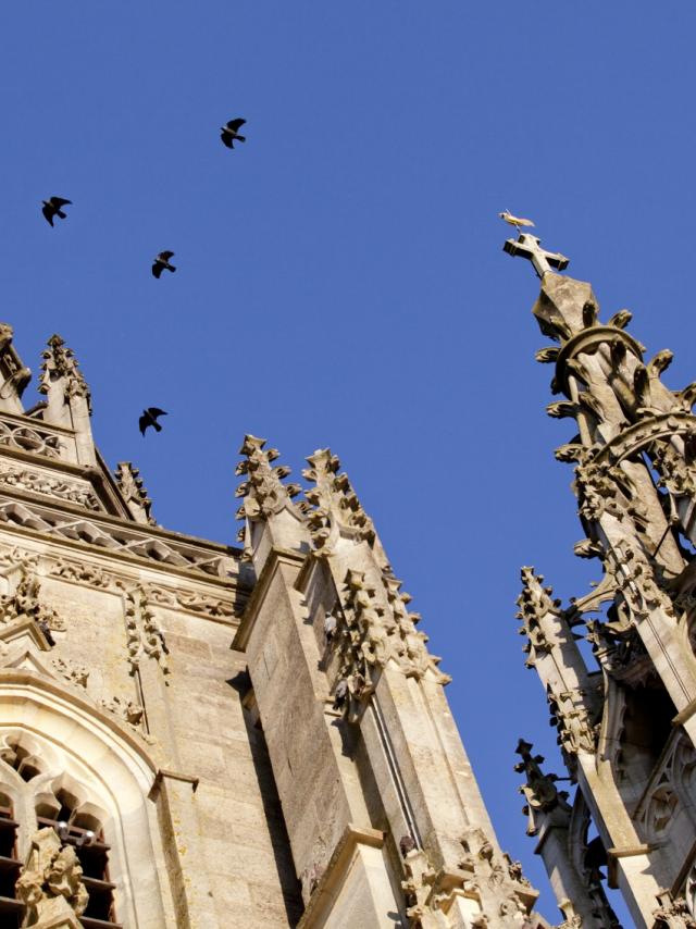 Basilique L Epine Unesco Tours Oiseaux © Jean Côme Nicolle