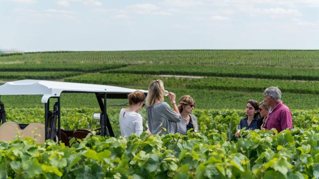 Champagne Bonnevie Bocart Voiturette Electrique 4 © Marat Anaev