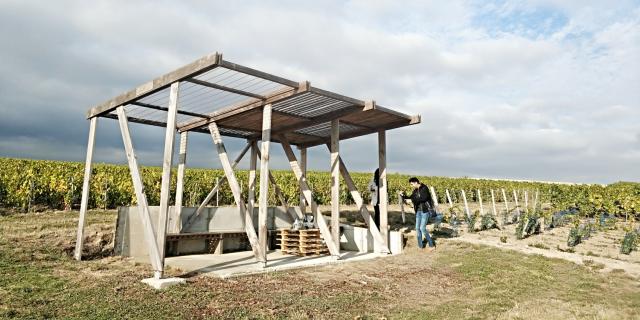 Degustation Loges De Vigne Champagne Tours Sur Marne © Mathilde Boivin