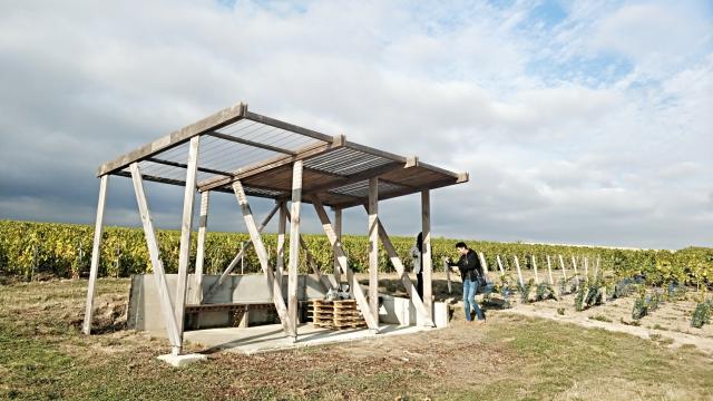 Degustation Loges De Vigne Champagne Tours Sur Marne © Mathilde Boivin