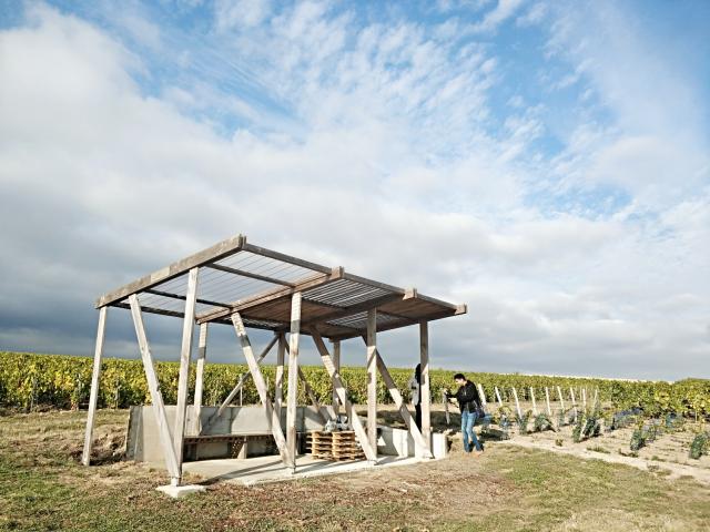 Degustation Loges De Vigne Champagne Tours Sur Marne © Mathilde Boivin