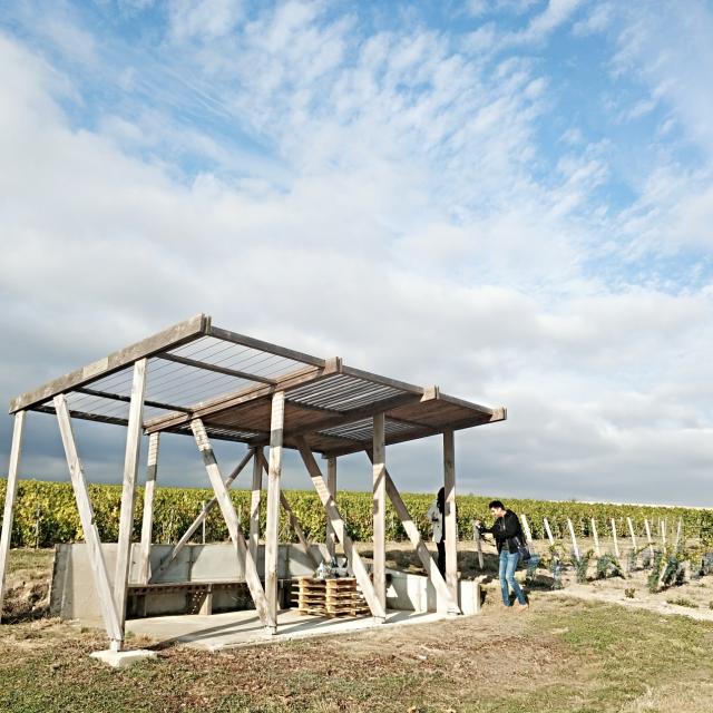 Degustation Loges De Vigne Champagne Tours Sur Marne © Mathilde Boivin