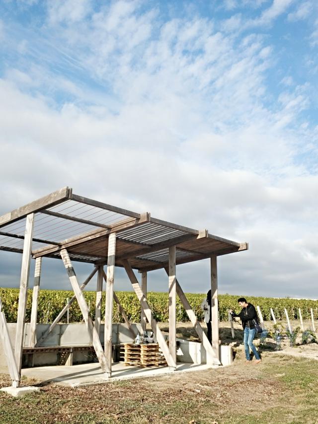 Degustation Loges De Vigne Champagne Tours Sur Marne © Mathilde Boivin