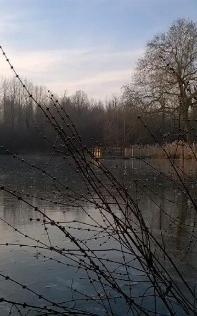 Domaine De Coolus Etang