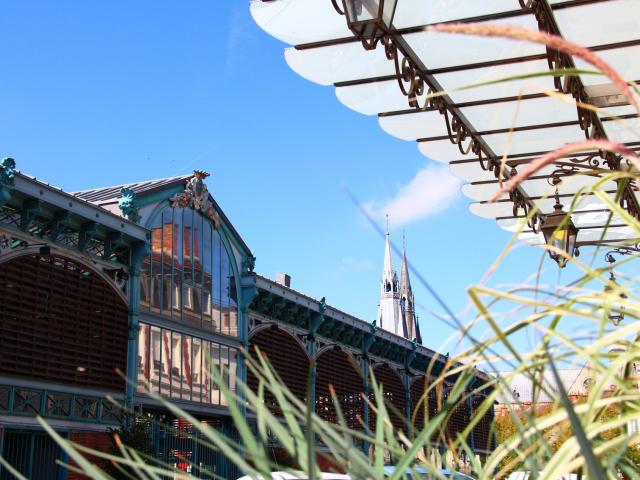 Halles Du Marche Chalons Plantes © Mathilde Boivin