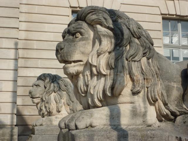 Hotel De Ville Chalons Parvis Lions