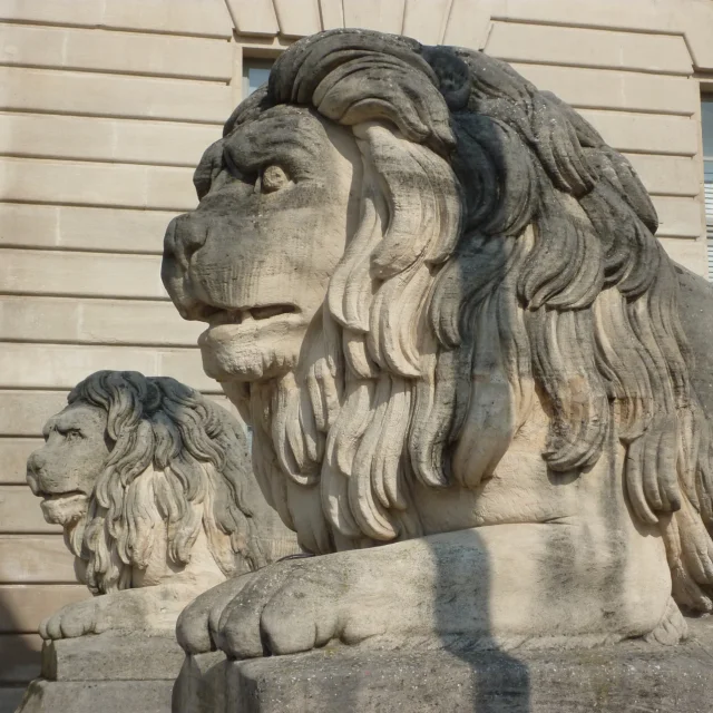 Hotel De Ville Chalons Parvis Lions