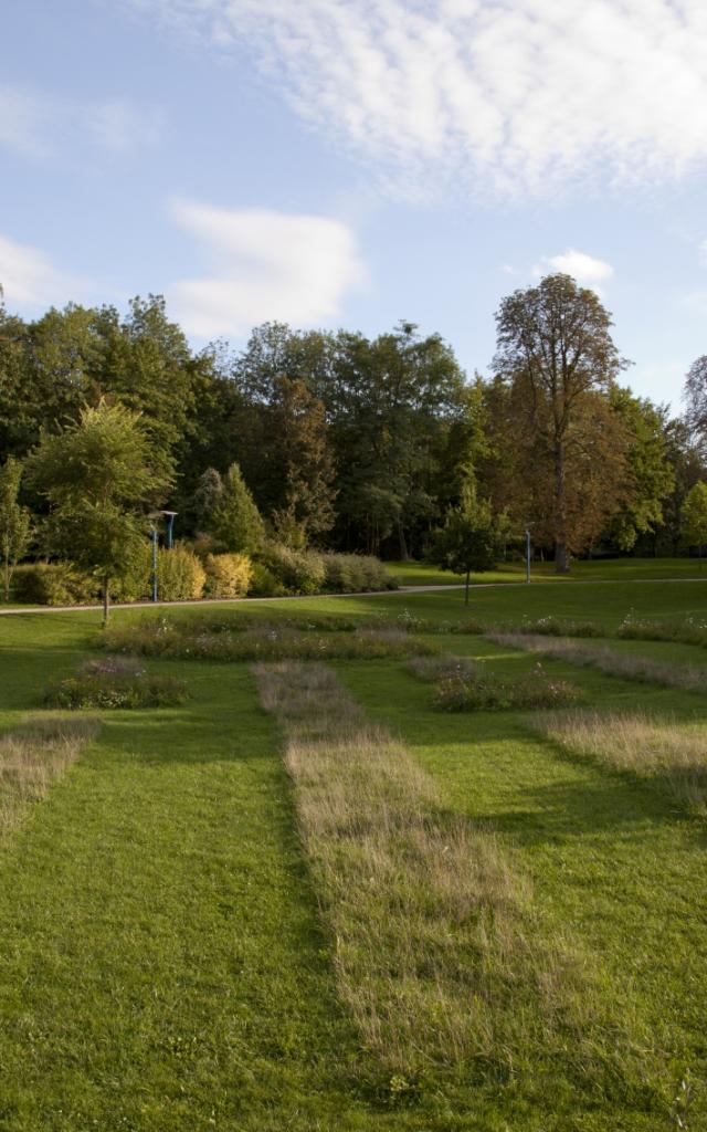 Jard Anglais Chalons Nature Sauvage © Jean Côme Nicolle