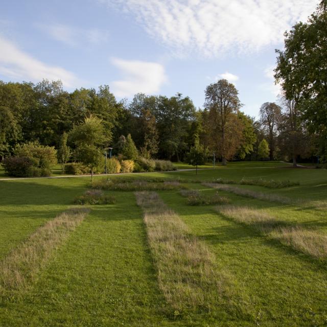 Jard Anglais Chalons Nature Sauvage © Jean Côme Nicolle