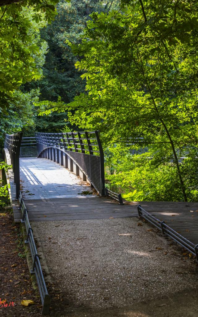 Jard Anglais Passerelle Marne Nature Chalons © Michel Bister