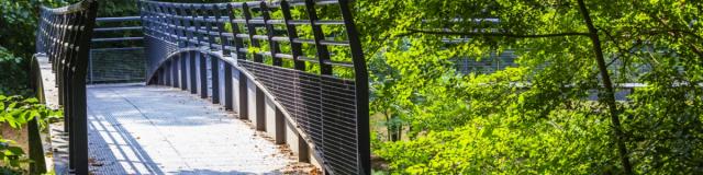 Jard Anglais Passerelle Marne Nature Chalons © Michel Bister