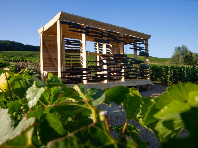 Loge De Vigne Ecume Des Vignes