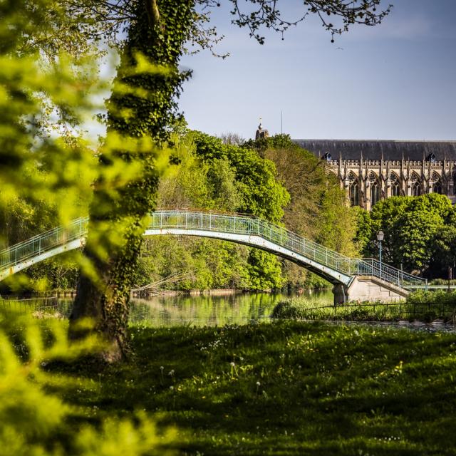 Passerelle Grand Jard Chalons Cathedrale Nature © Michel Bister