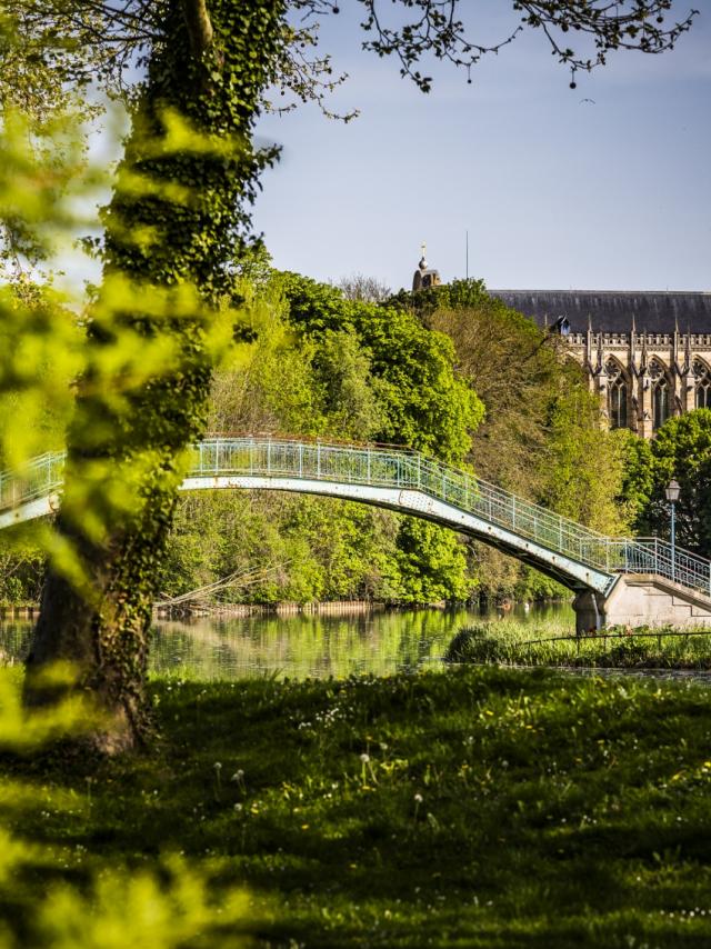 Passerelle Grand Jard Chalons Cathedrale Nature © Michel Bister