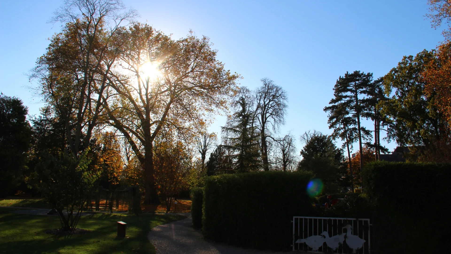 Petit Jard Chalons Automne © Mathilde Boivin