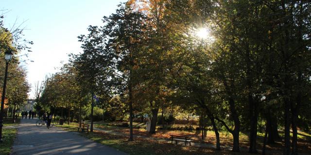 Petit Jard Chalons Feuilles Automne © Mathilde Boivin