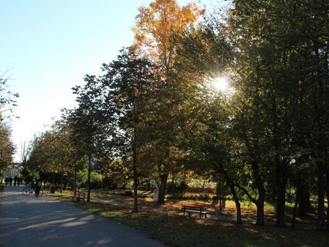 Petit Jard Chalons Feuilles Automne © Mathilde Boivin