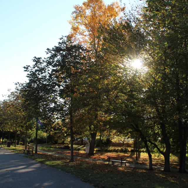 Petit Jard Chalons Feuilles Automne © Mathilde Boivin