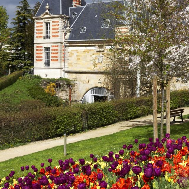 Petit Jard Fleurs Couleurs Chateau Du Marche © Pascal Perin