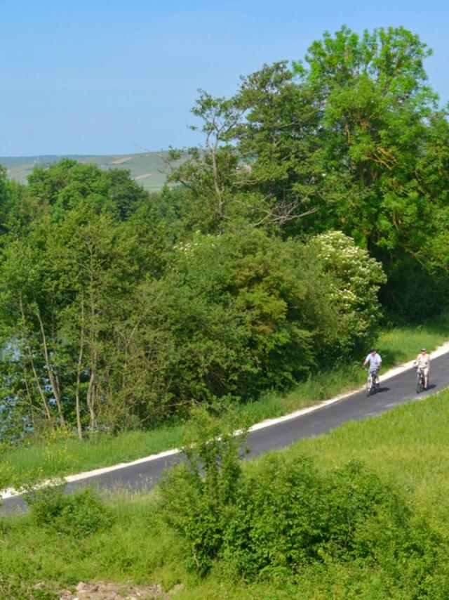 Banniere Veloroute Vallee De La Marne