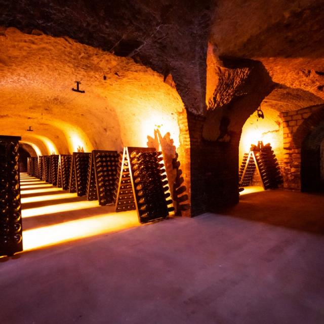 Champagne Joseph Perrier Caves Visite