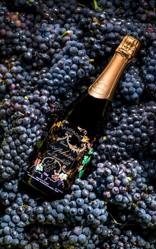 Champagne Joseph Perrier Cuvee Josephine