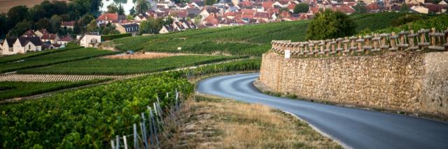 Champagne Joseph Perrier Vignes Terroir