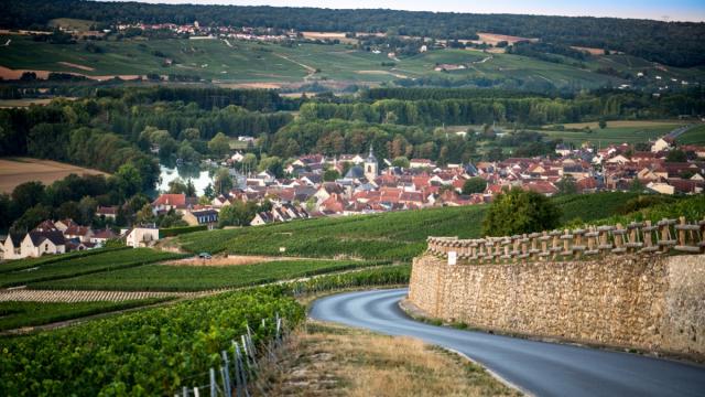 Champagne Joseph Perrier Vignes Terroir