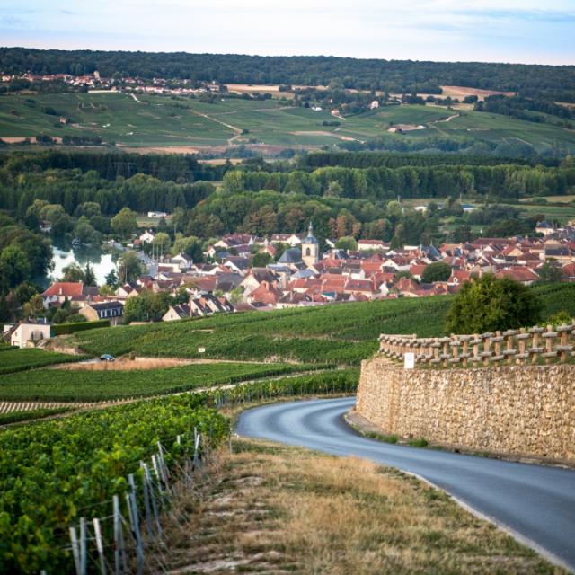 Champagne Joseph Perrier Vignes Terroir