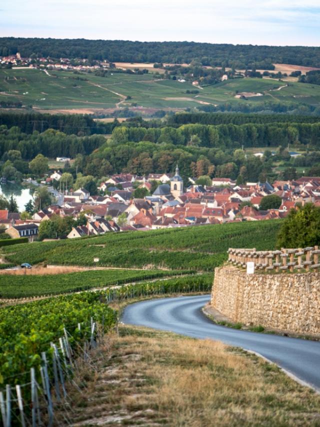 Champagne Joseph Perrier Vignes Terroir