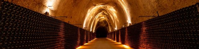 Champagne Joseph Perrier Visite Caves