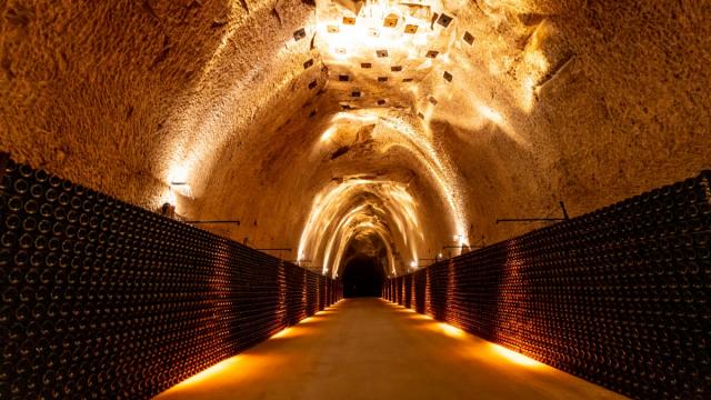 Champagne Joseph Perrier Visite Caves