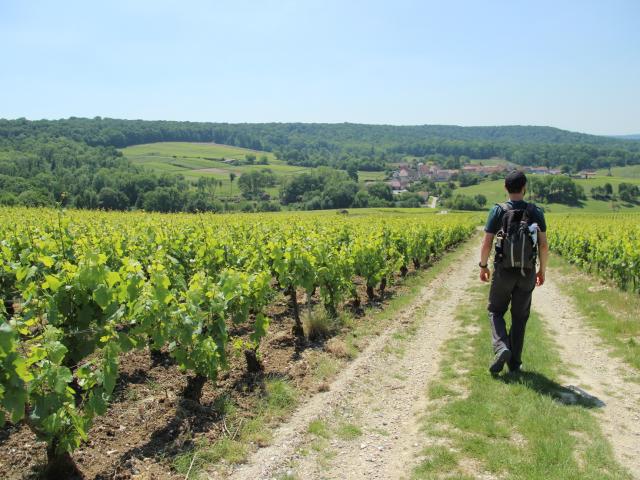 Randonnée Vallee De La Marne © E. Vidal Coll. Adt Marne