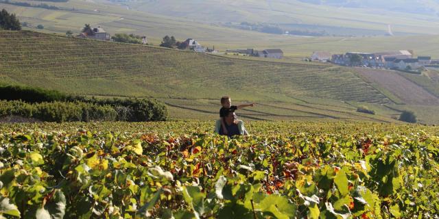 Vignoble Hautvillers Unesco © S. Millot Coll.adt