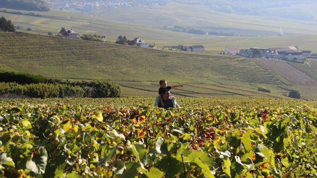 Vignoble Hautvillers Unesco © S. Millot Coll.adt