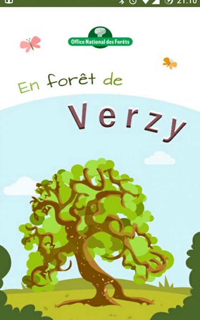 application-en-foret-de-verzy.jpg