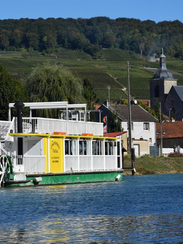 Bateau Champagne Vallee Cumieres Vignoble