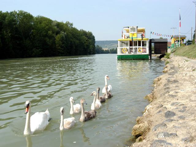 Bateau Champagne Vallee Cygnes @ Christophe Manquillet