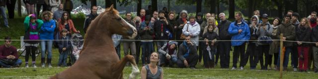 festival-furies-chalons-baro-d-evel-cirk-vincent-muteau.jpg