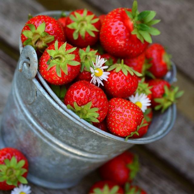 Fraises Fruit Saison Ete Juillet