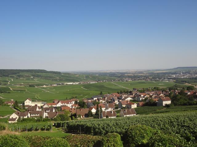 Hautvillers Paysage Vignes